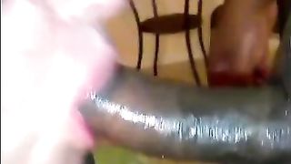 White Sissy Bitch Whore for BBC