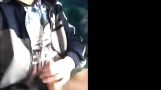 The Exhibit Guy at the house