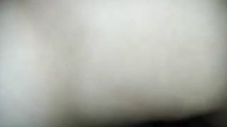 Zorra recibe hasta el fondo