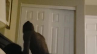 She Cry for the Dick, than couldn't take the Dick