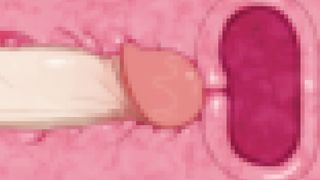 подборка нарезка минет аниме хентай 27 часть