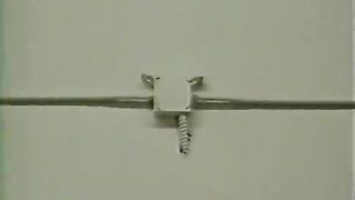 LBO - Bubble Butts Vol5 - scene 2 - extract 3