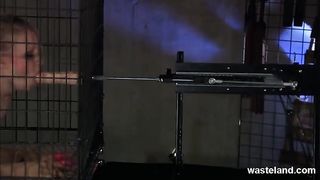 Intense BDSM Compilation With Submissive Blonde In Compromising Positions