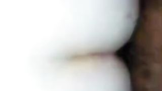 White Sissy Bitch Whore for BBC