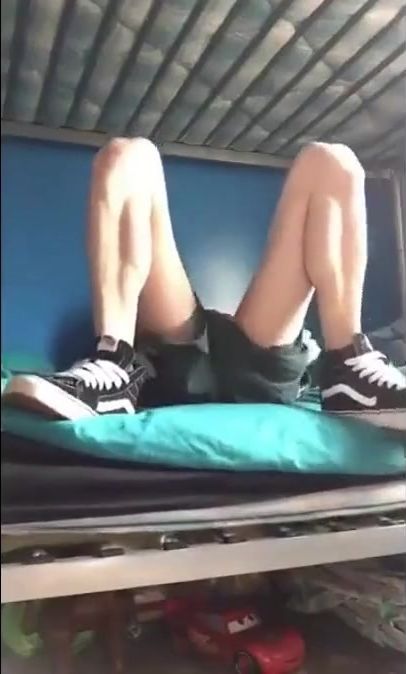 The Exhibit Guy at the house