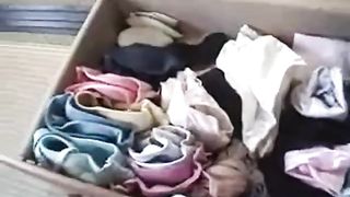 Japanese Panty Drawer