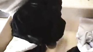 Japanese Panty Drawer