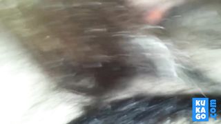 Portuguese blowjob insede the car