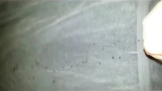 Big Cumshot Compilation