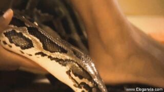 MILF Bollywood Compilation