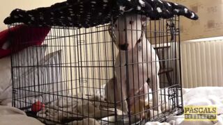 Submission & rough sex for Candice