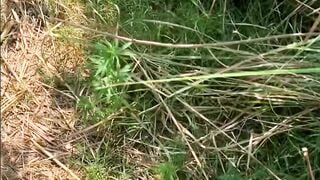 Indian Randi sex in jungle (Forest) new video 2024