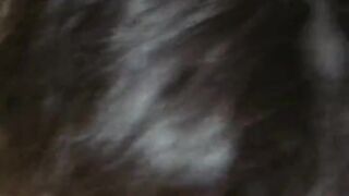 I'm not suppose to share this video. It's from my private collection.