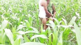 Bhabhi ko devar ka kala mota lund aaya lisand, corn field me bhabhi ki chudai outdoor Hindi audio