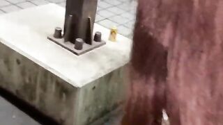 A naked exposure lesson on an overpass on a major road! Squirting with fingering, shaved pussy