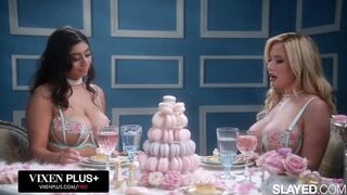 VIXENPLUS Iconic Violet Compilation