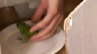 Asian fetish teen fingered in class