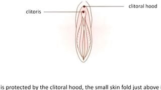 sex tips step by step