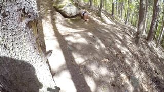 Young Girl is Caught during Fucking by a Peeper in Forest in all 3 Holes