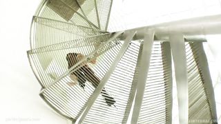 All Internal presents Shanis in gonzo creampie scene