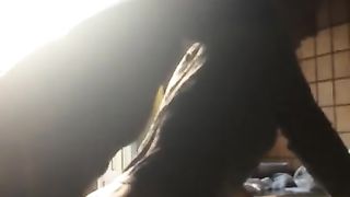 Housewife is used by  Husband (quickly Anal)