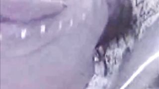 Maude kiffe la grosse bite a Momo