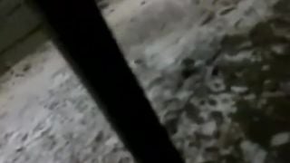 Desi INdian 18 Teen Radha Caught Fucking in College Toilet Mms- DesiGuyy