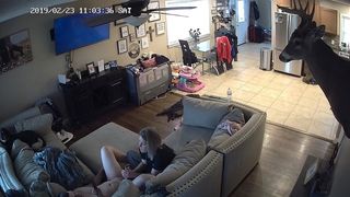 Free hacked ipcam Videos - PornMEGA
