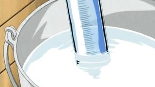 Bible Black Belly Inflation