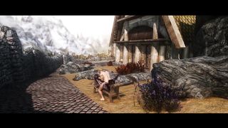 Skyrim - Whiterun Gaurd Fucks Argonian behind the Castle