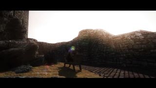 Skyrim - Whiterun Gaurd Fucks Argonian behind the Castle