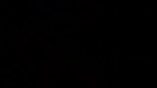 Wild Life Tanya Ravaged 3D