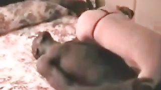 Cuckold asian MILF fucked by hired black bull sissy watches