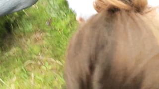 Sexy Essex Wife Jerking off a Stranger in Public Outdoor Daytime Dogging