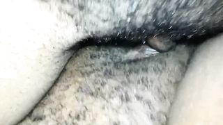 EBONY LESBIANS TRIBBING