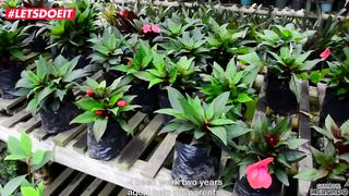 LETSDOEIT - Horny Studs Trick Petite Latina Into Rough Sex