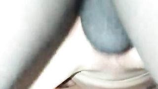 Insatiable Appetite for BBC