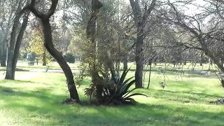 Bitch gets a Facial on a Bike Ride
