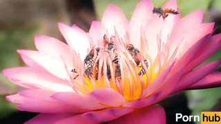 Twenty Dicked Flower Hosts Massive Orgy