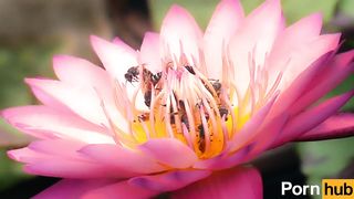 Twenty Dicked Flower Hosts Massive Orgy