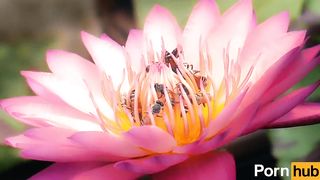 Twenty Dicked Flower Hosts Massive Orgy