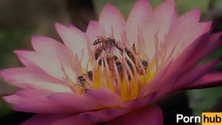 Twenty Dicked Flower Hosts Massive Orgy