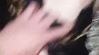 She Can’t get enough of my Cock