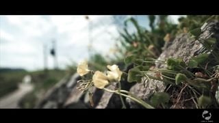 RISKY QUICKIE ON TOP OF A CLIFF   the Sex Diaries 24 (LUNAxJAMES)