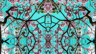 I want You...immersive Erotic Audio by Eve's Garden