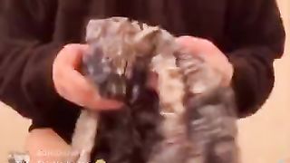 Bbystar1027 - IG Live